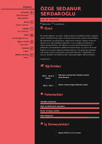 Acil Tıp Teknisyeni CV Örnekleri cv indir